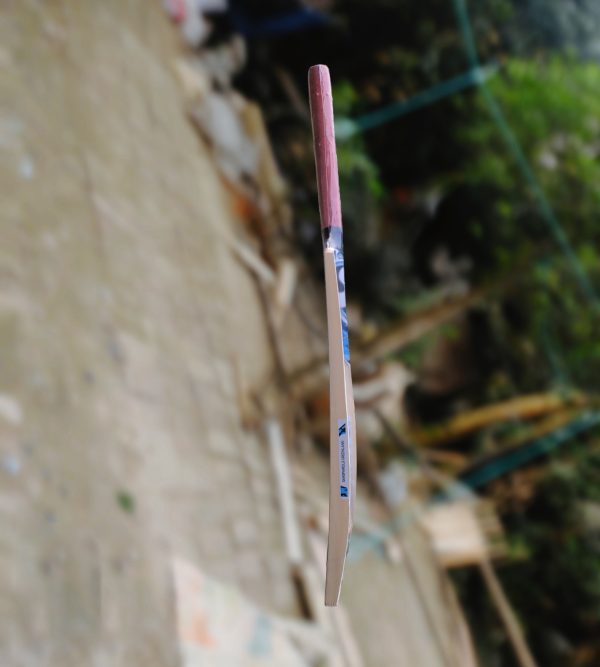 PI SG - Image 4